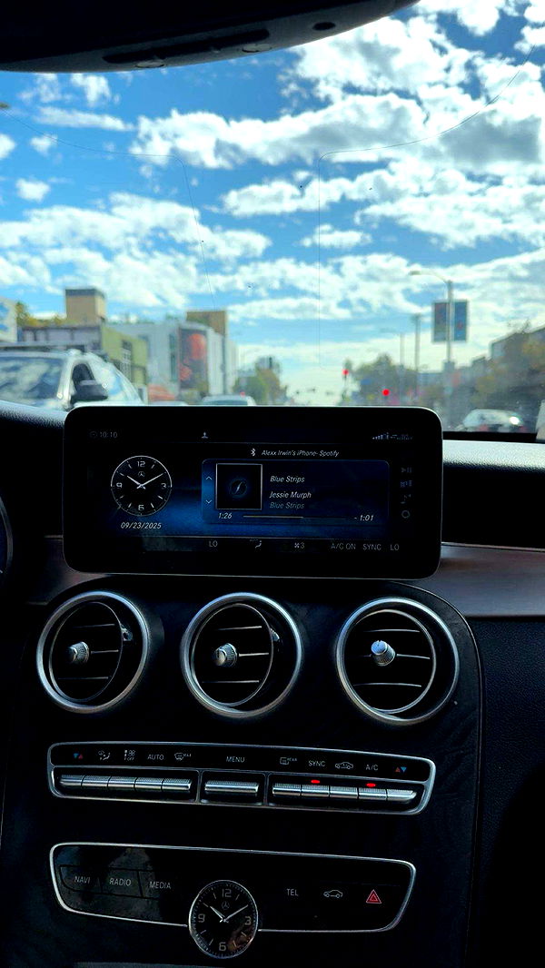 realhaylujan image ~ Altpins