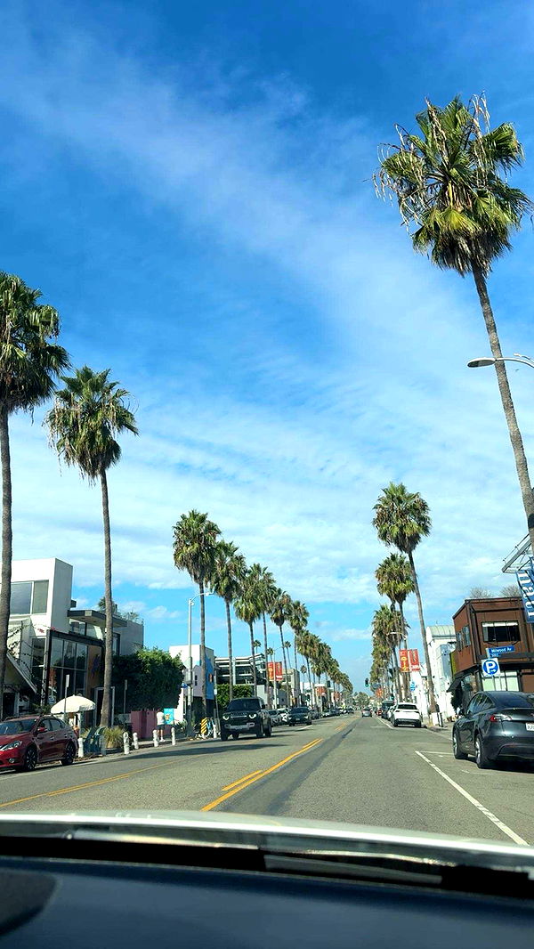 realhaylujan image ~ Altpins