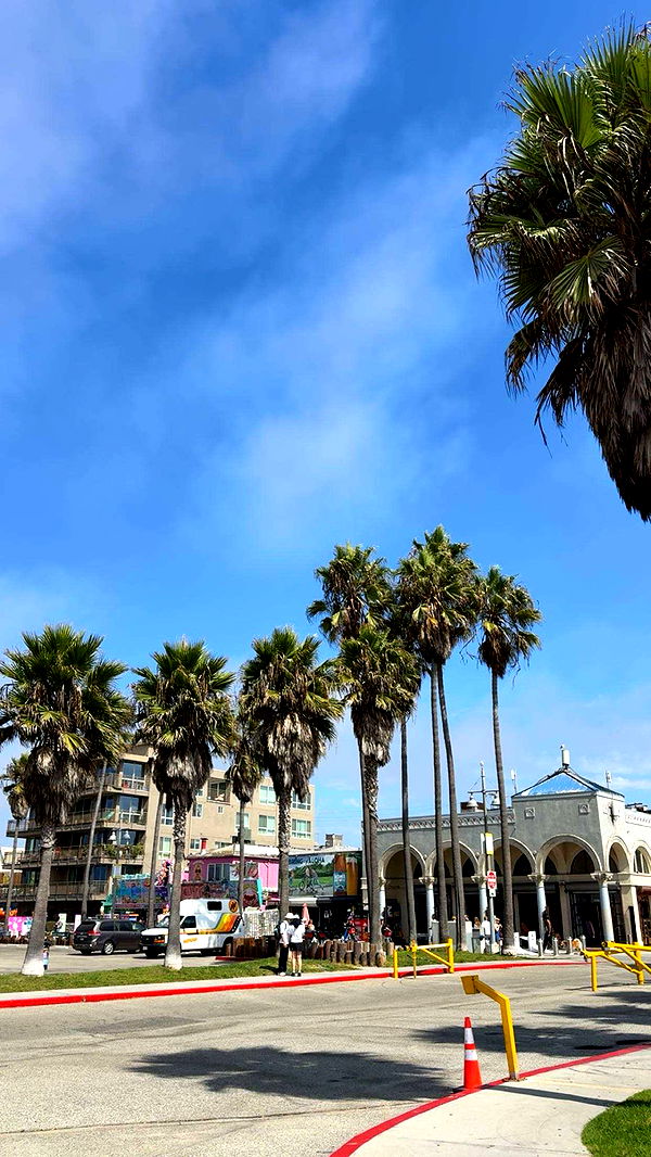 realhaylujan image ~ Altpins