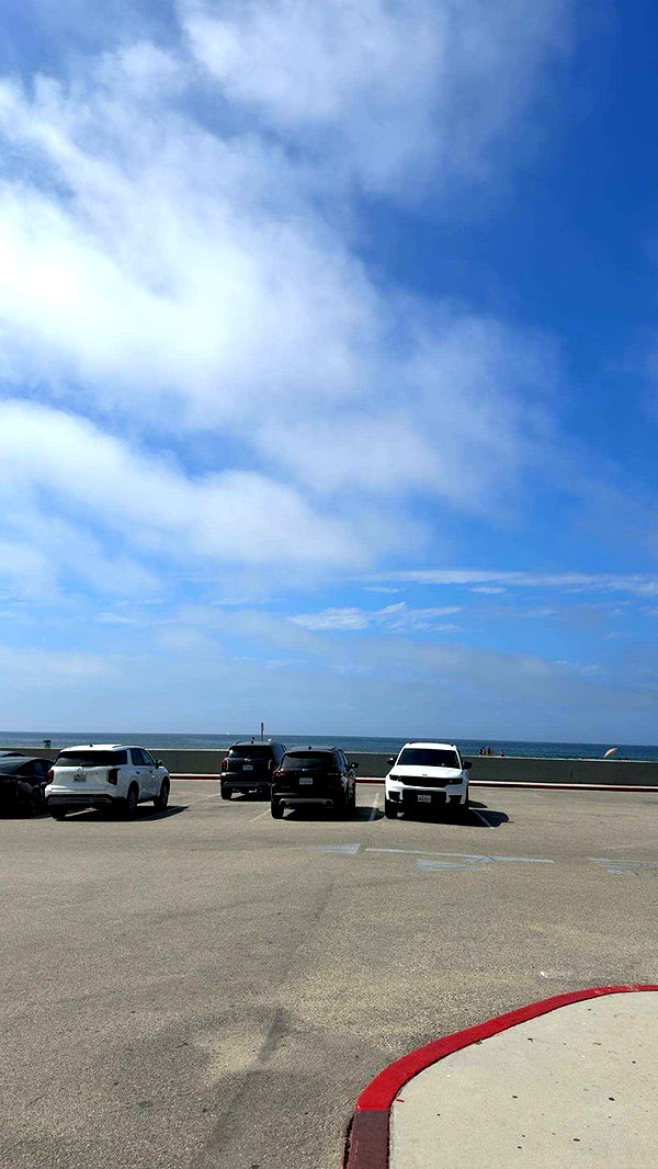 realhaylujan image ~ Altpins