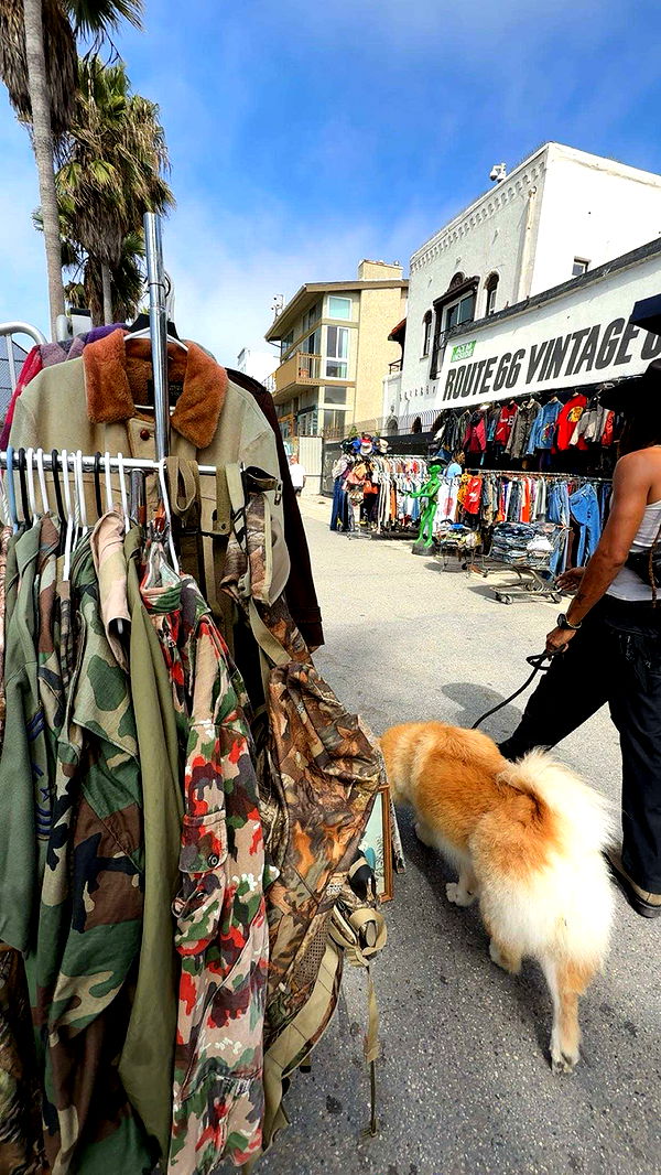 realhaylujan image ~ Altpins