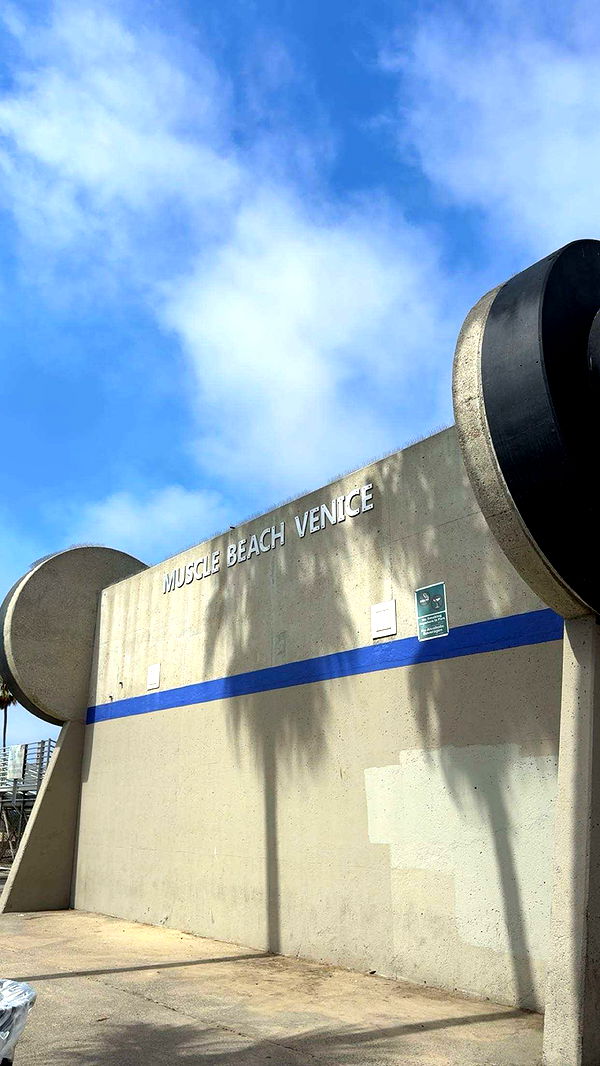 realhaylujan image ~ Altpins