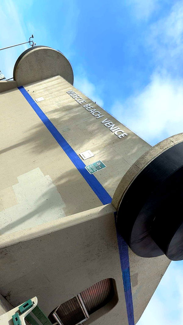 realhaylujan image ~ Altpins