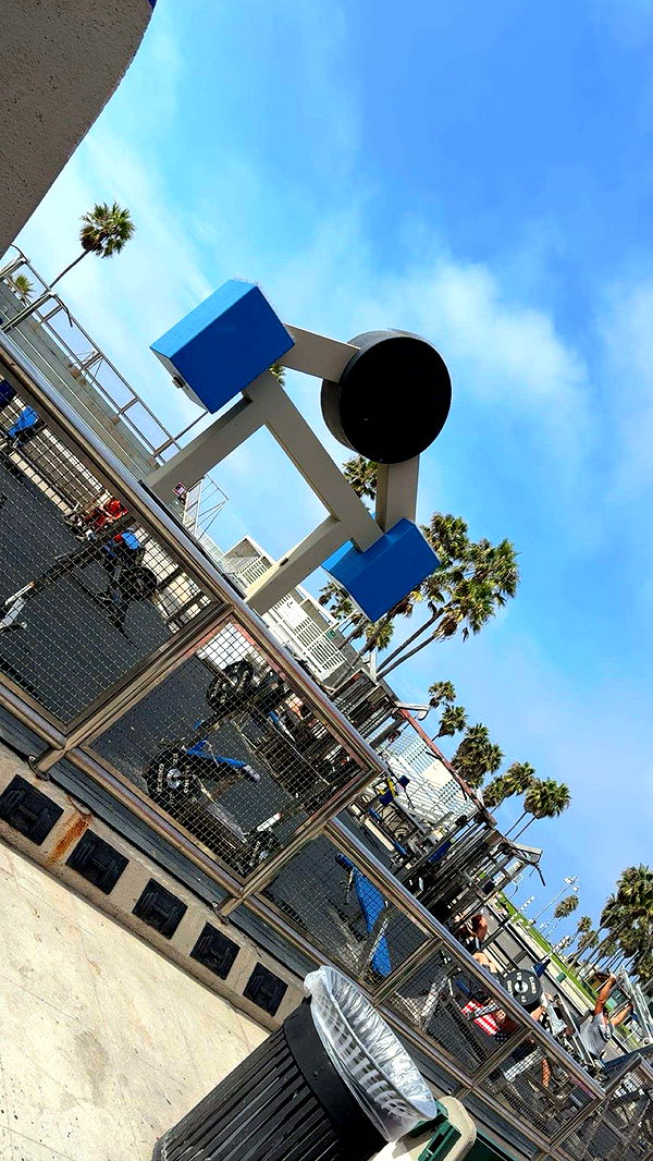 realhaylujan image ~ Altpins