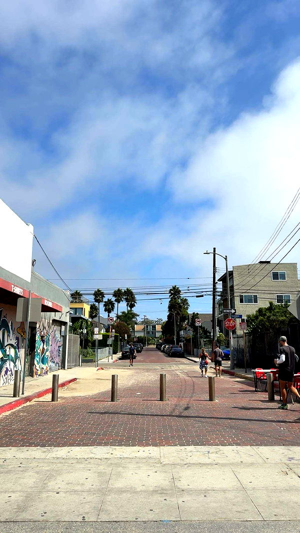 realhaylujan image ~ Altpins