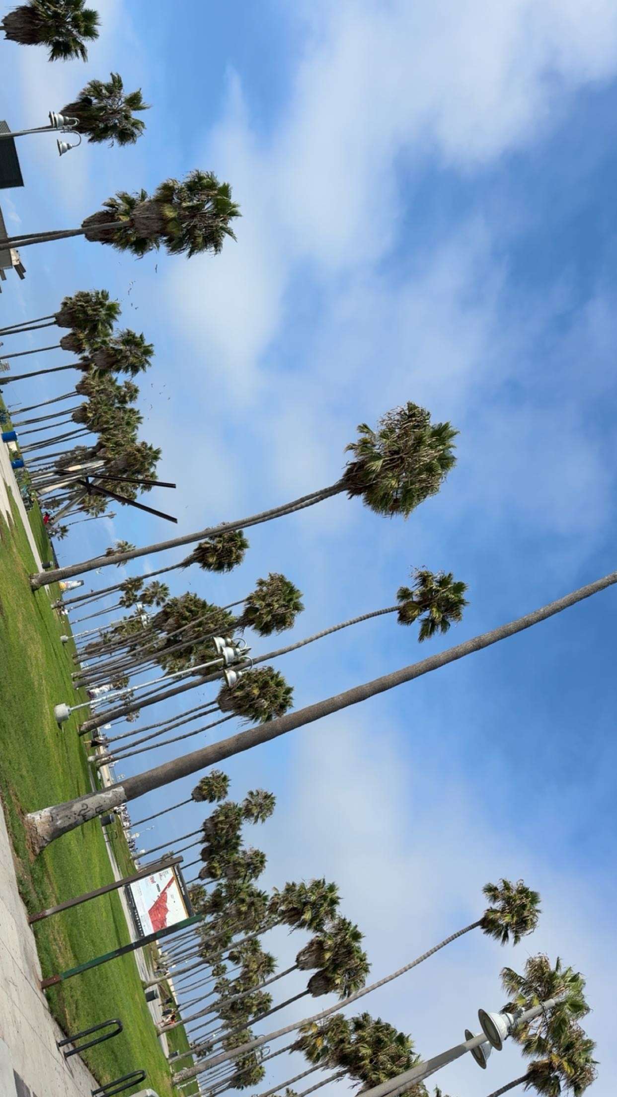 realhaylujan snapchat image archive image