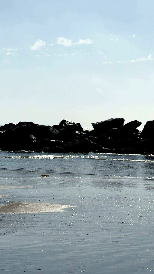 realhaylujan image ~ Altpins