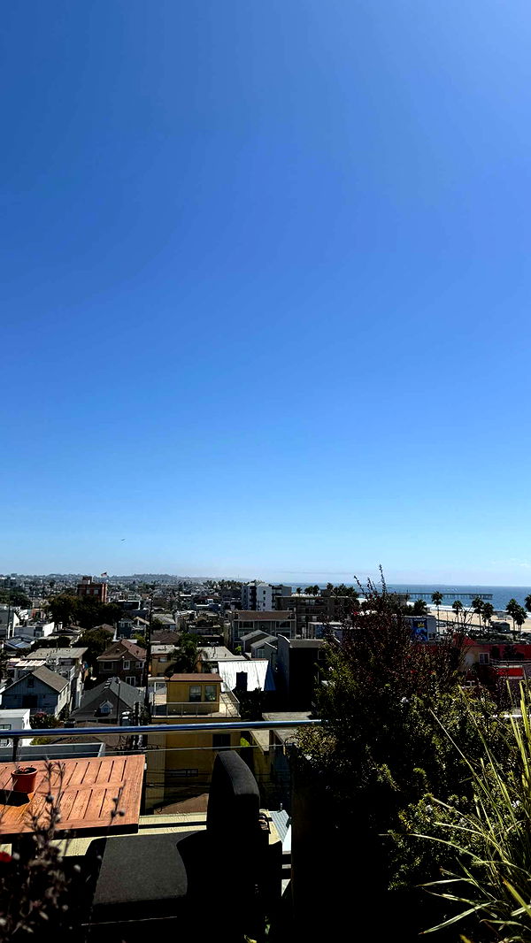 realhaylujan image ~ Altpins