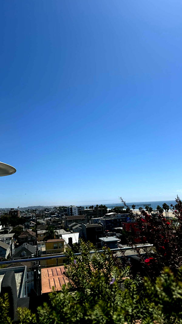 realhaylujan image ~ Altpins