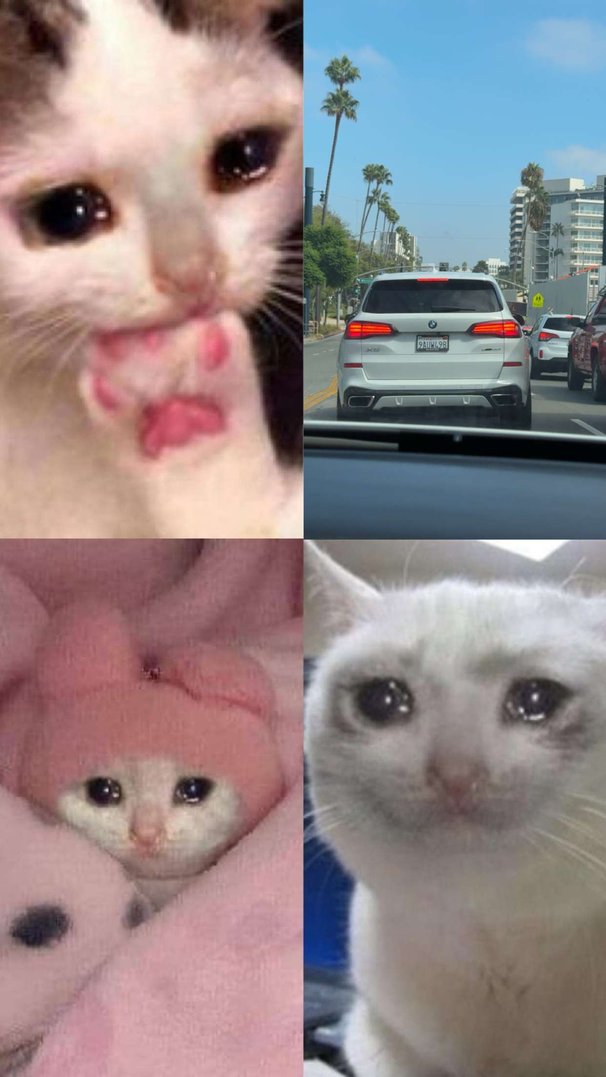 realhaylujan snapchat image archive image