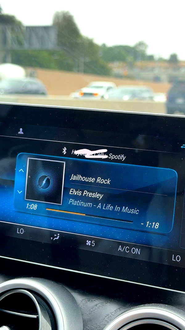 realhaylujan image ~ Altpins