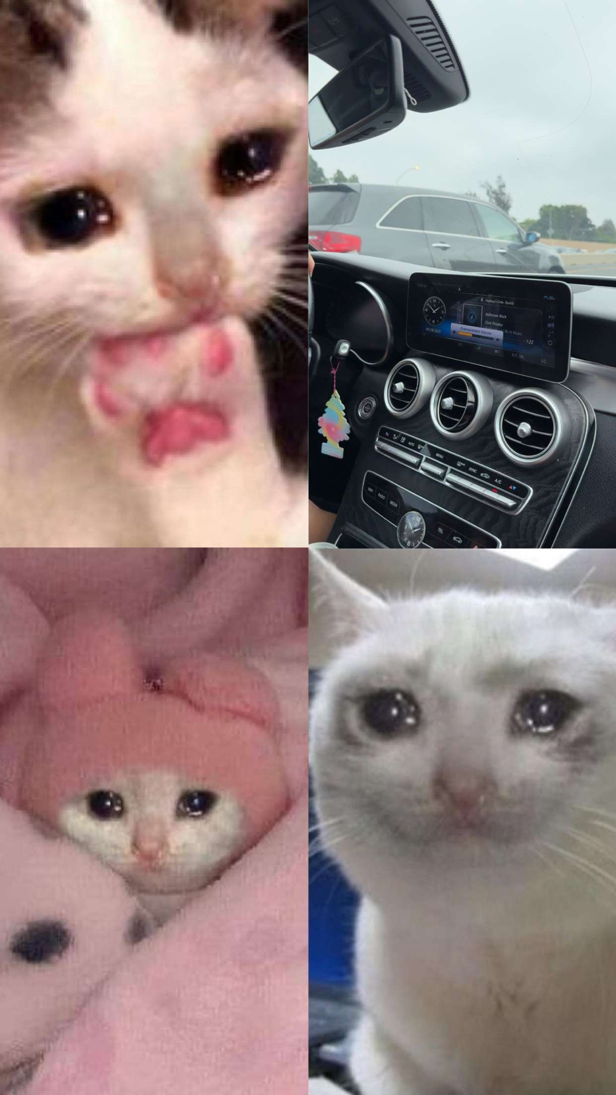 realhaylujan snapchat image archive image