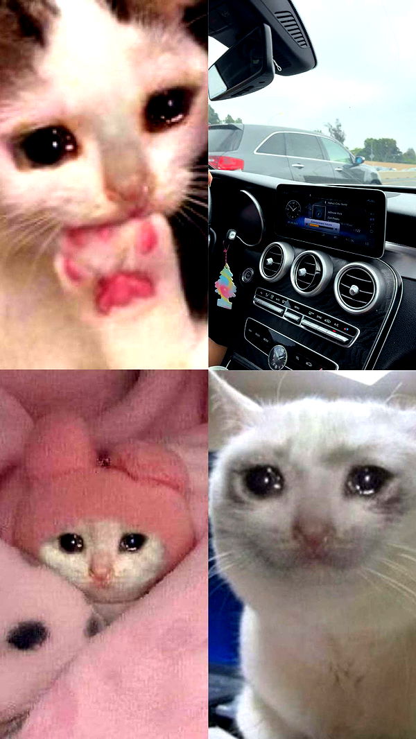 realhaylujan image ~ Altpins