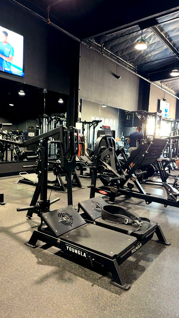 realhaylujan image ~ Altpins