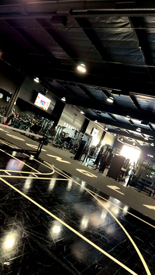 realhaylujan image ~ Altpins