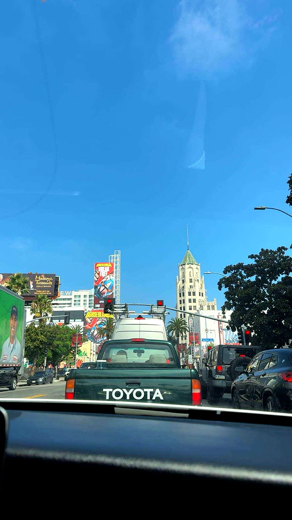 realhaylujan image ~ Altpins