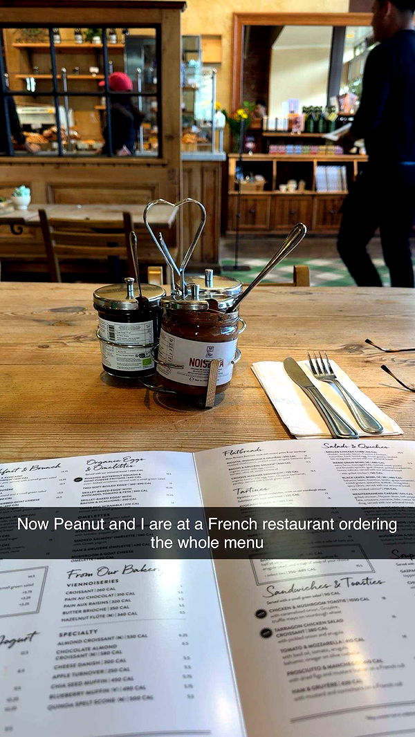 realhaylujan image ~ Altpins