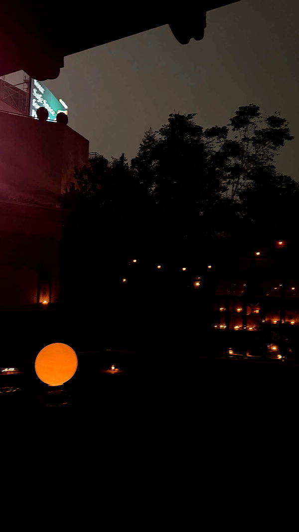 realhaylujan image ~ Altpins