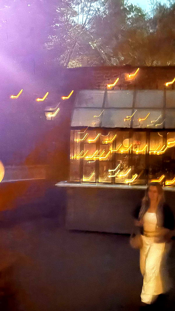 realhaylujan image ~ Altpins