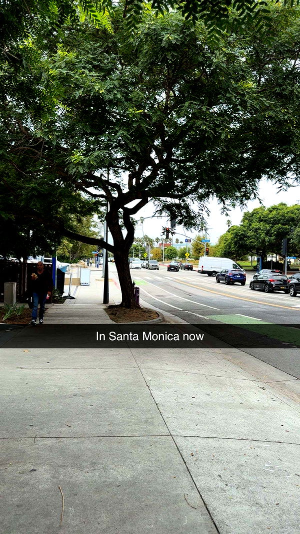 realhaylujan image ~ Altpins