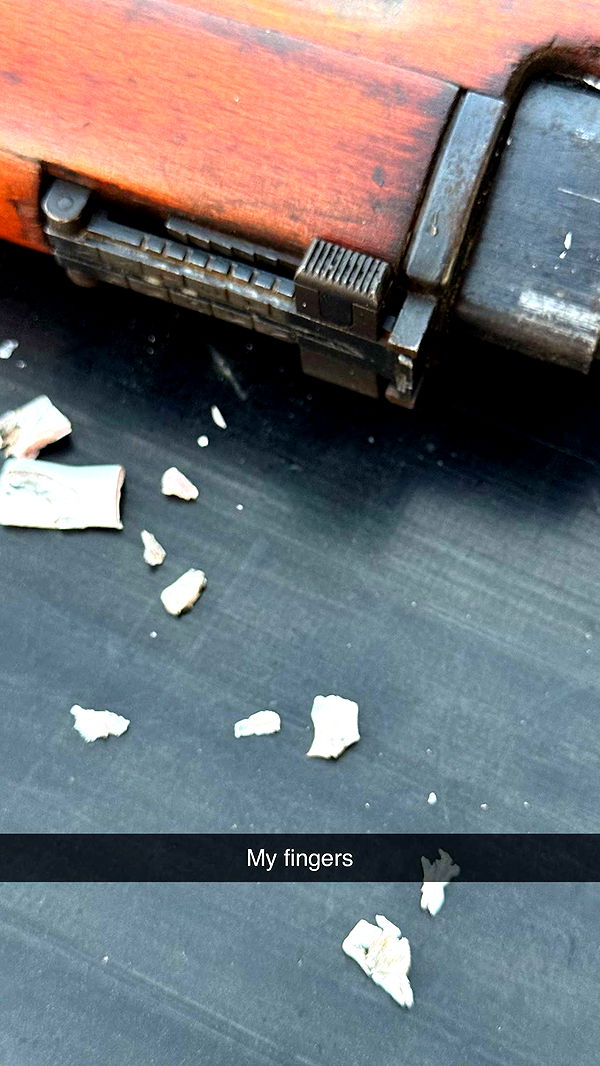 realhaylujan image ~ Altpins