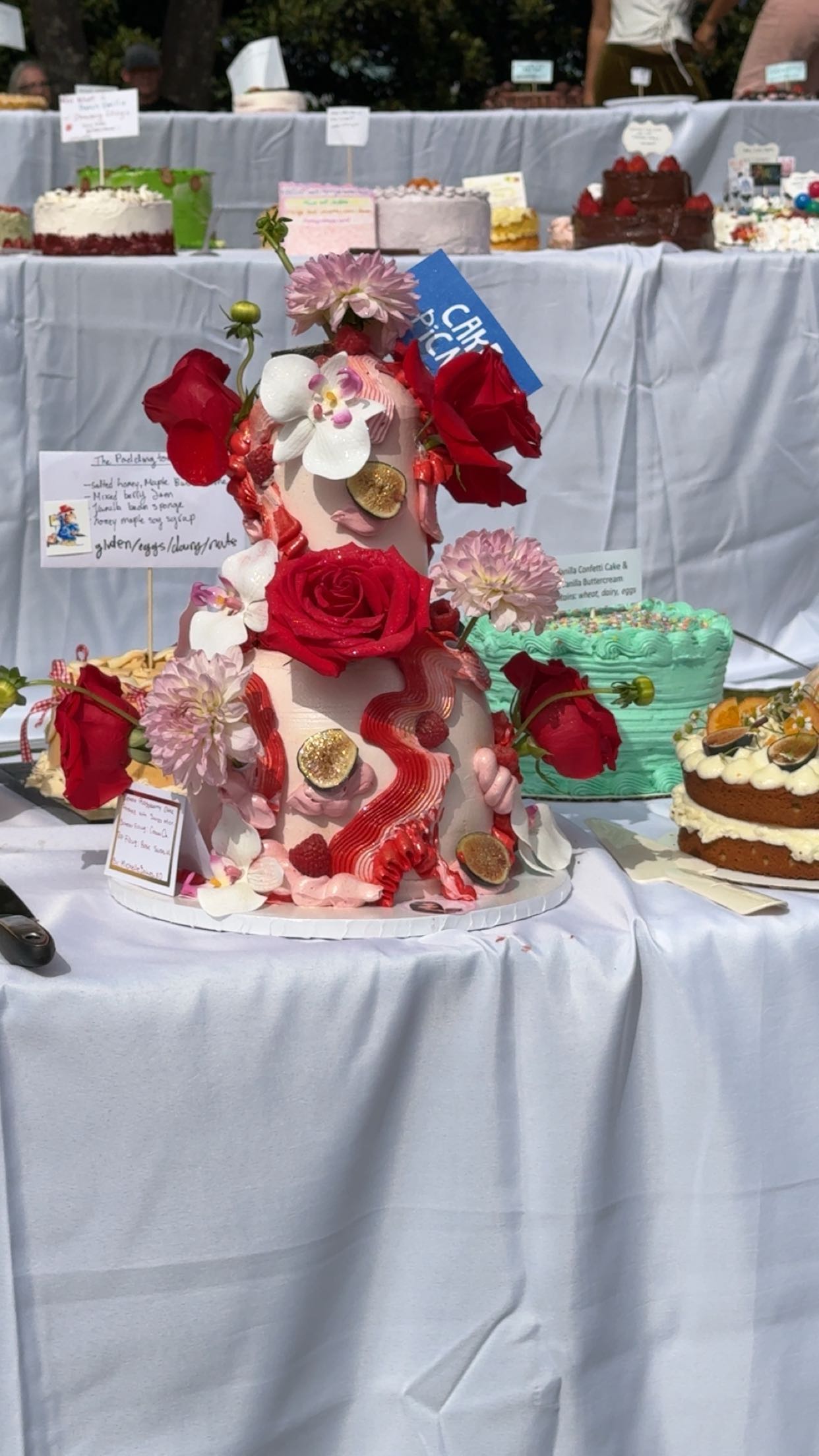 realhaylujan snapchat image archive image