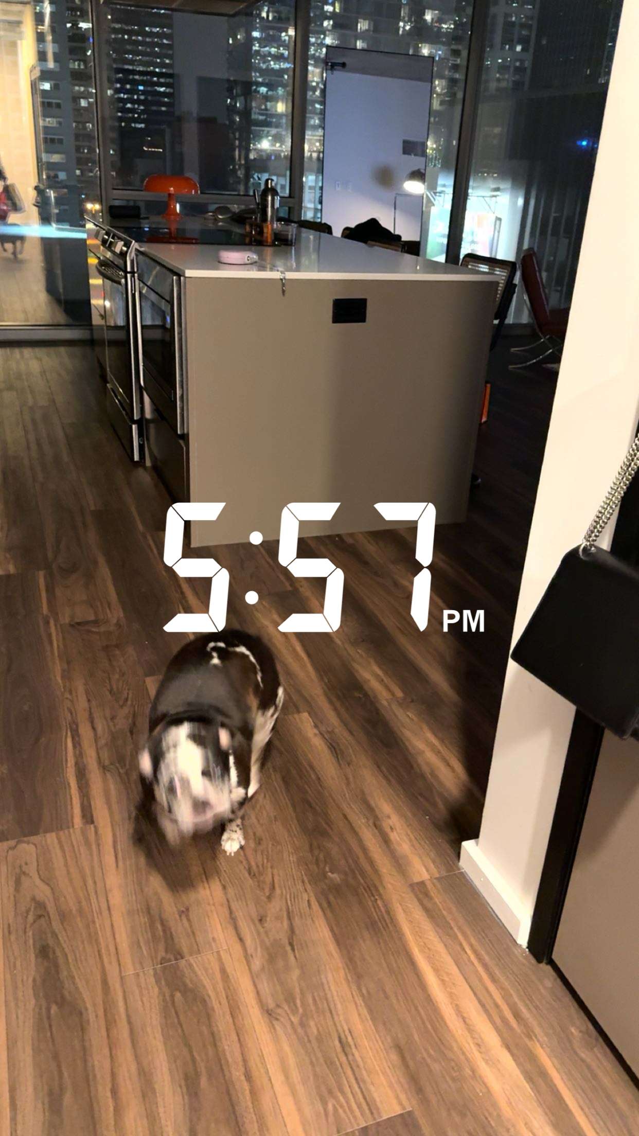 realhaylujan snapchat image archive image