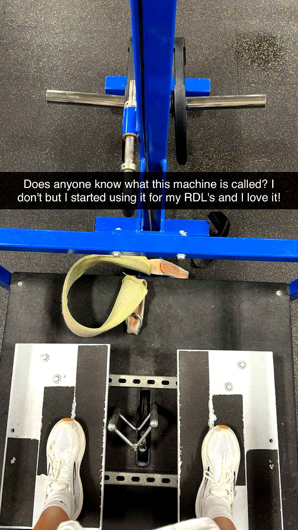 realhaylujan image ~ Altpins