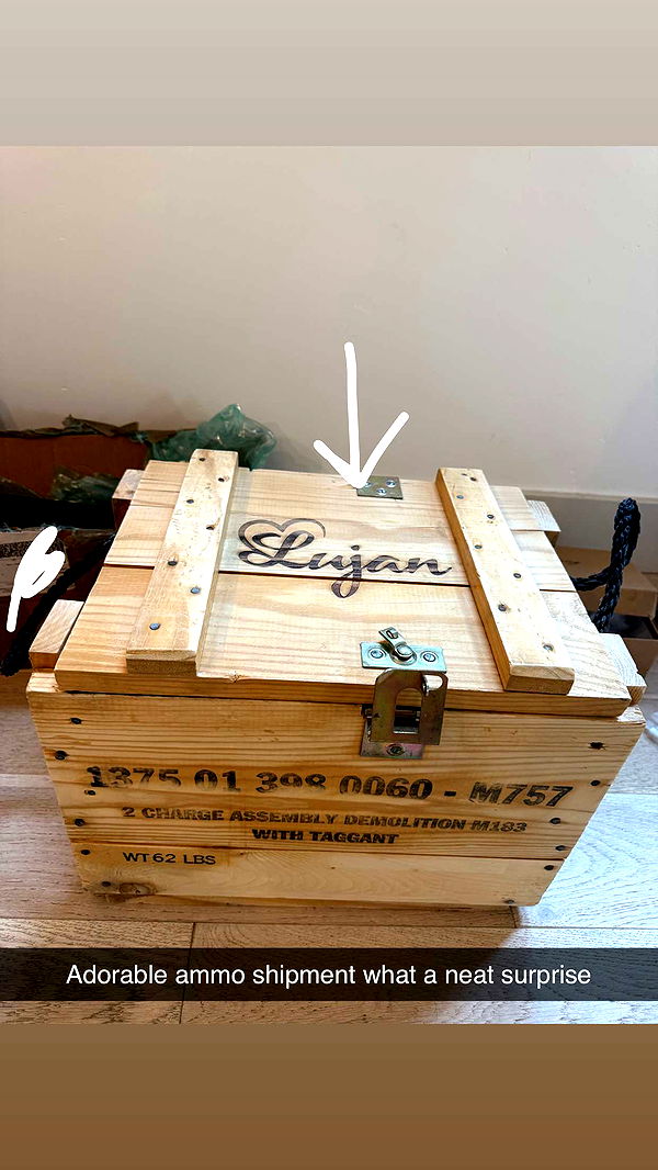 realhaylujan image ~ Altpins