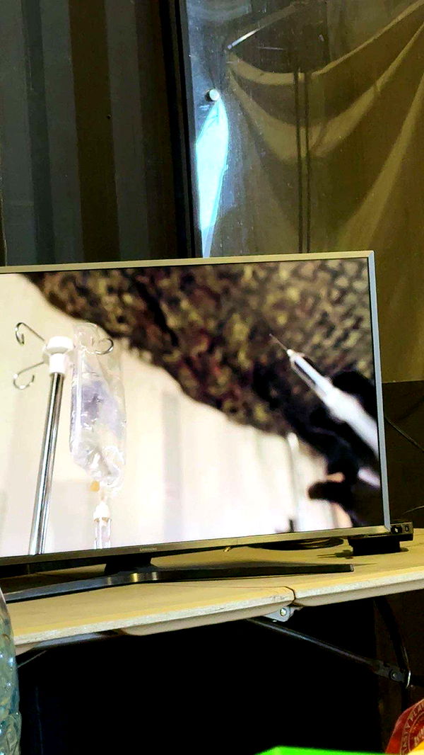 realhaylujan image ~ Altpins