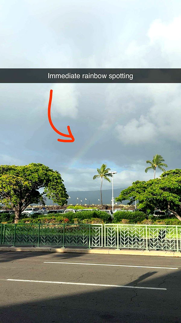 realhaylujan image ~ Altpins