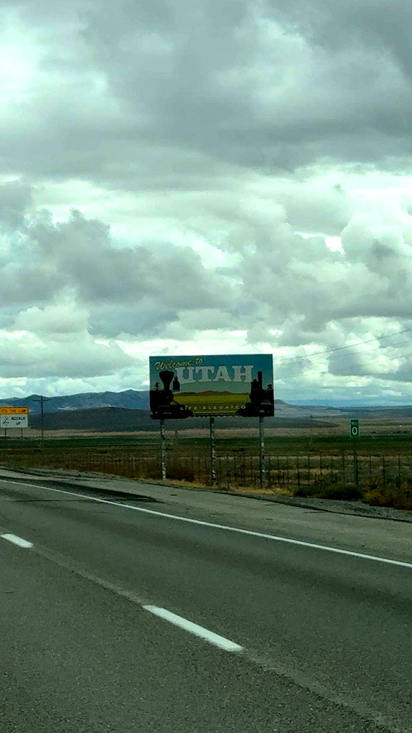 realhaylujan image ~ Altpins