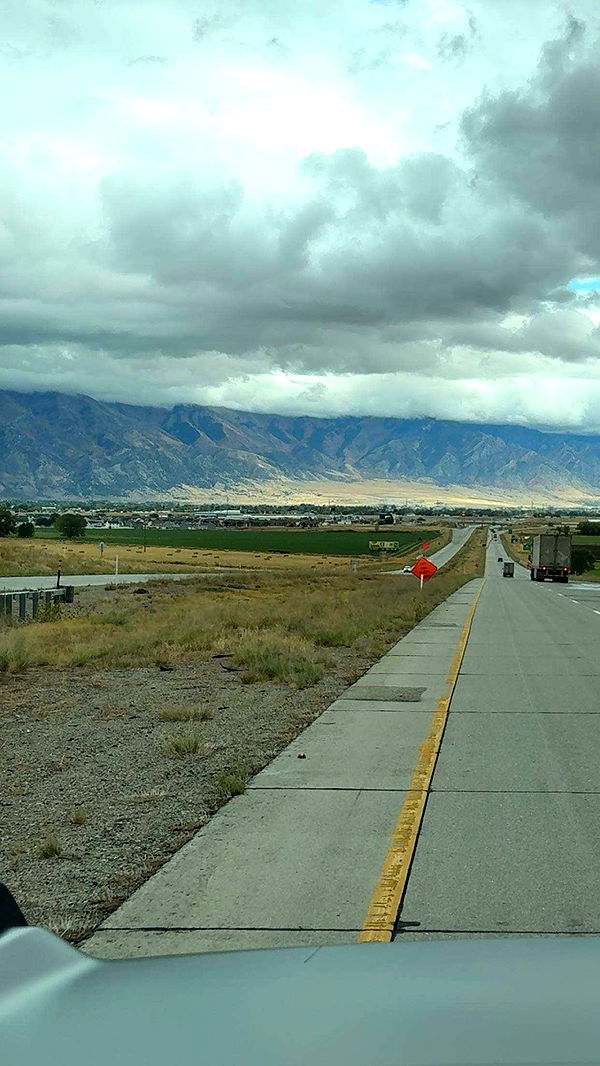 realhaylujan image ~ Altpins