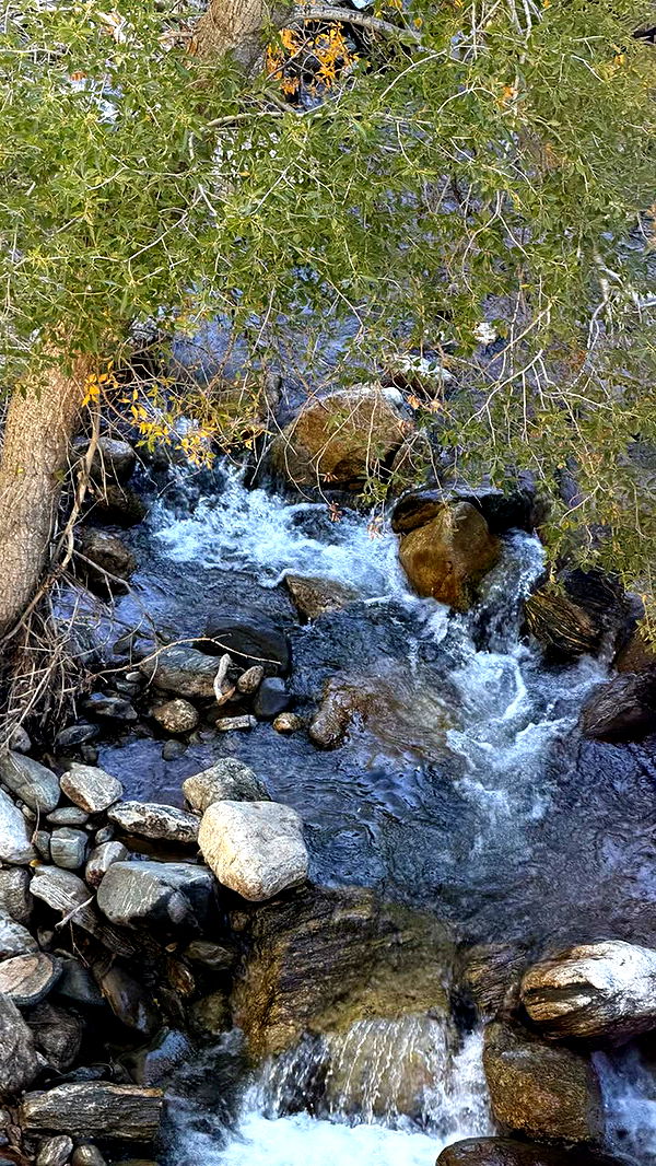 realhaylujan image ~ Altpins