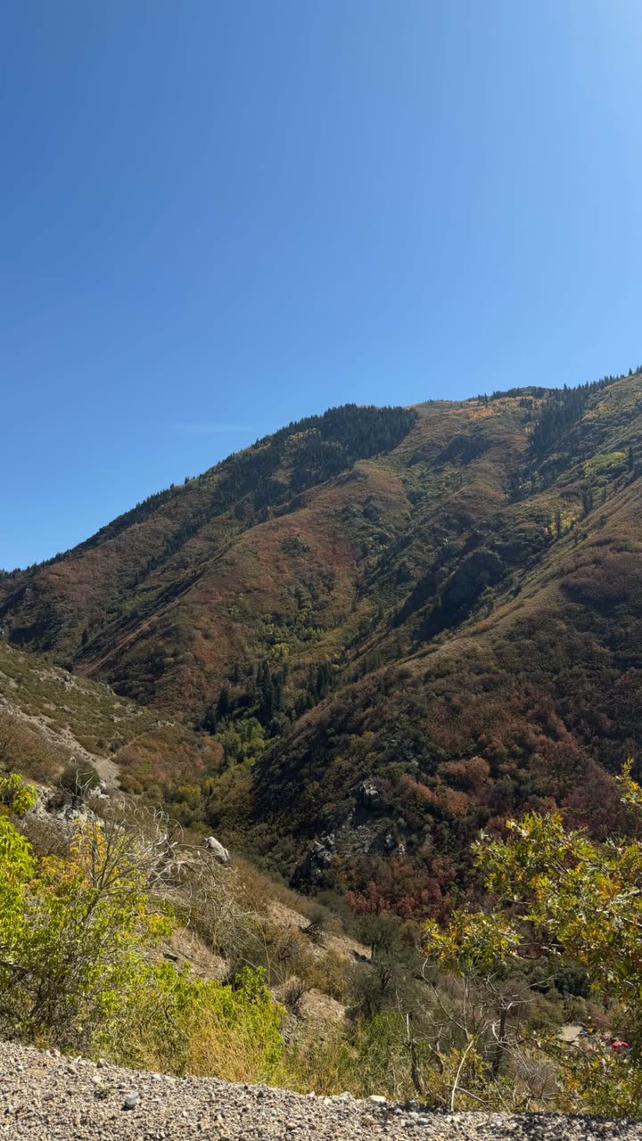 realhaylujan snapchat image archive image