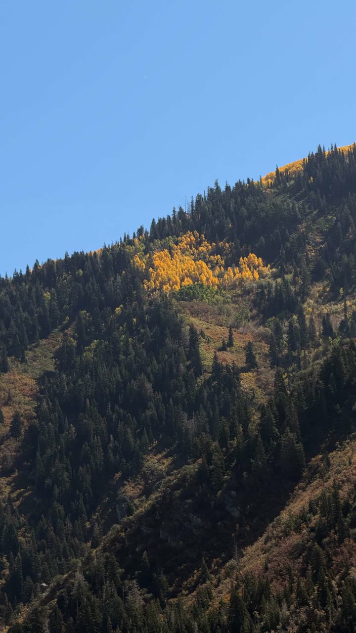 realhaylujan snapchat image archive image