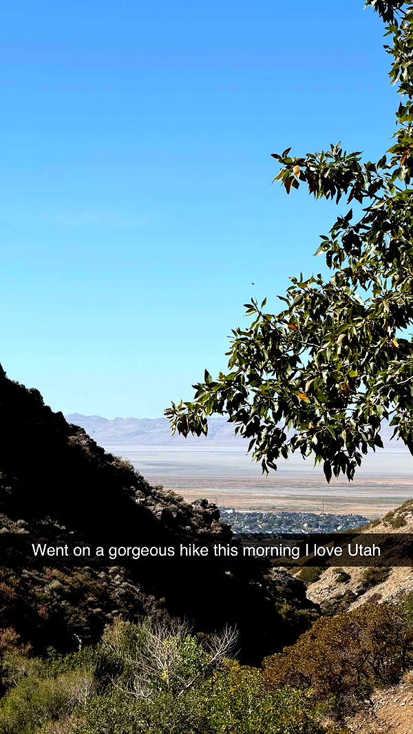 realhaylujan image ~ Altpins