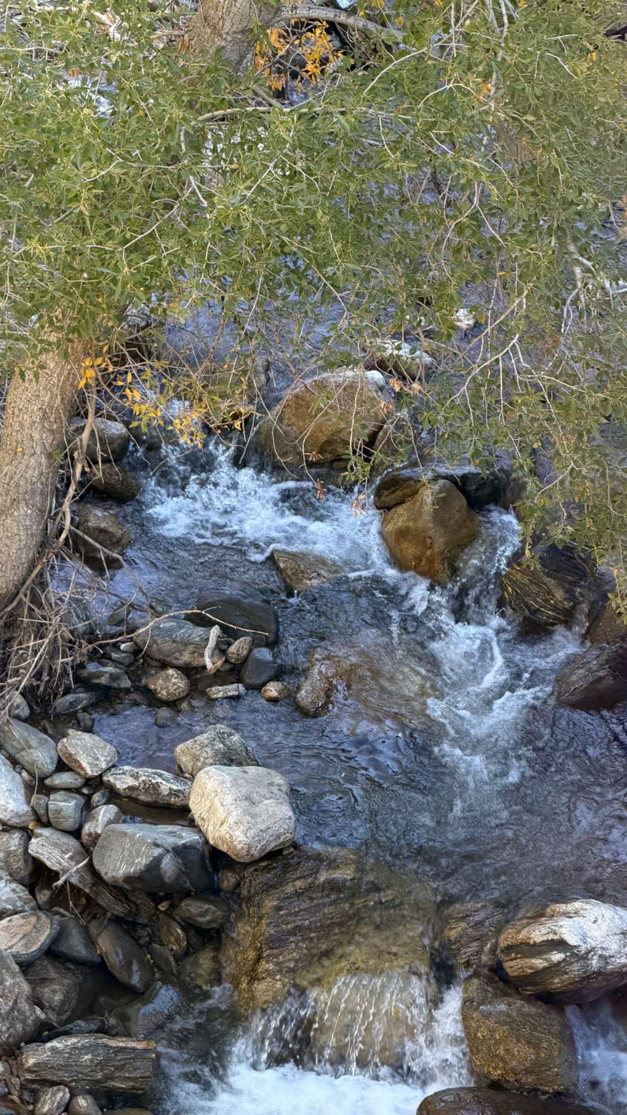 realhaylujan snapchat image archive image