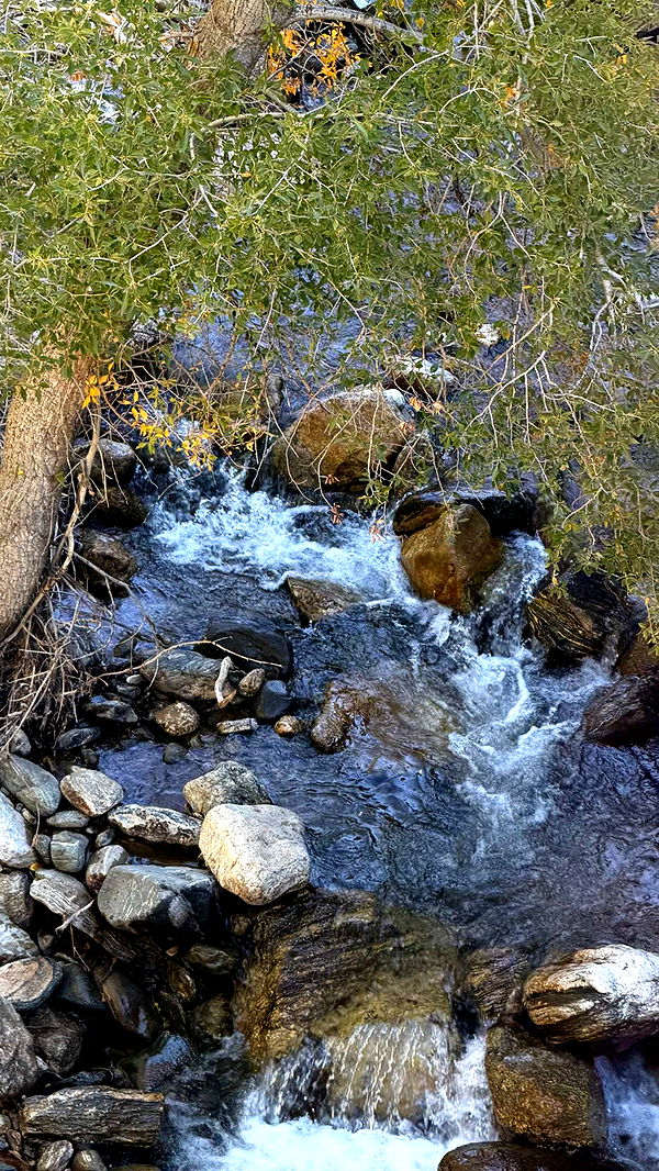 realhaylujan image ~ Altpins