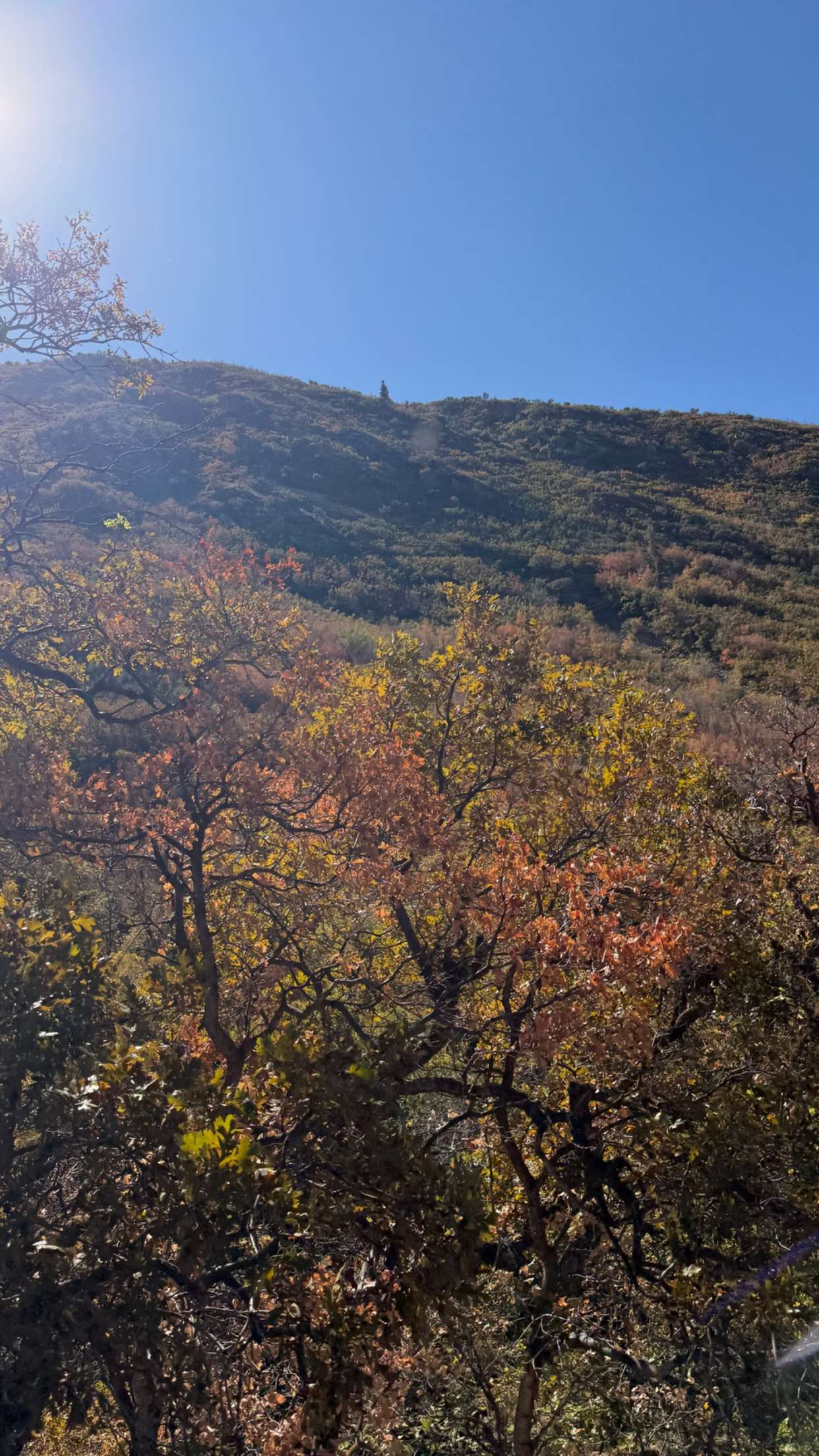 realhaylujan snapchat image archive image