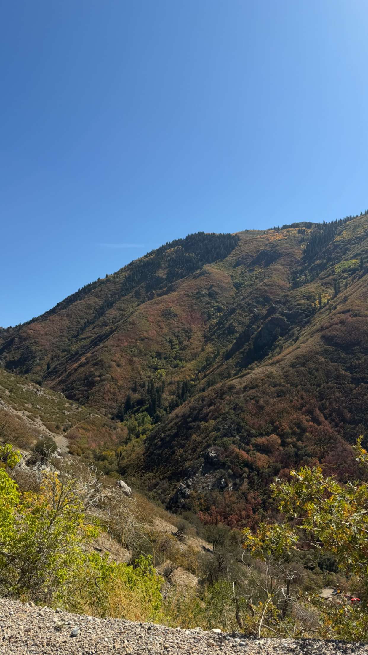 realhaylujan snapchat image archive image