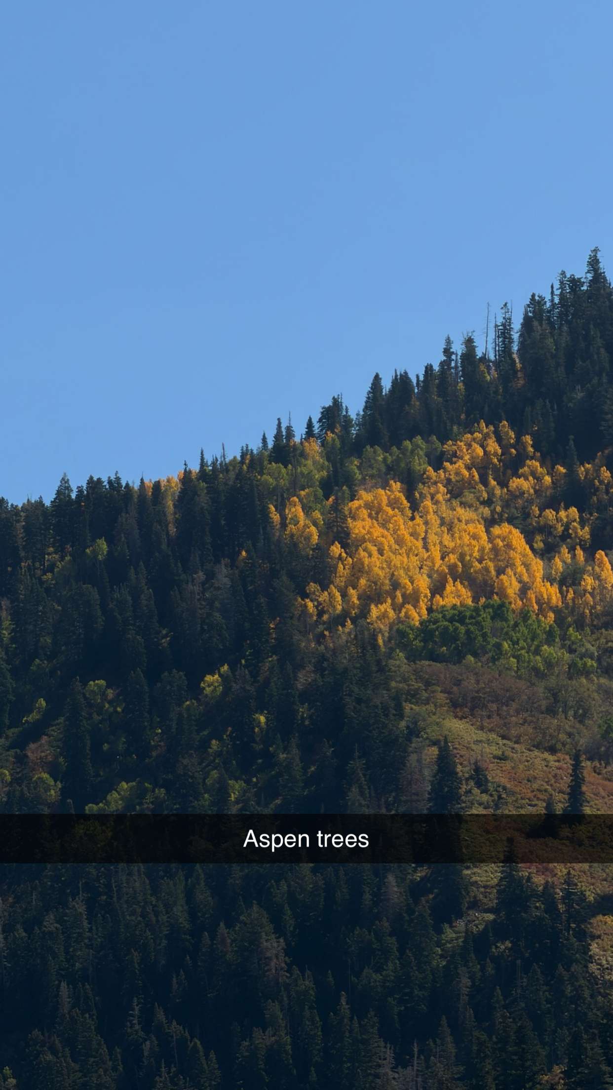 realhaylujan snapchat image archive image