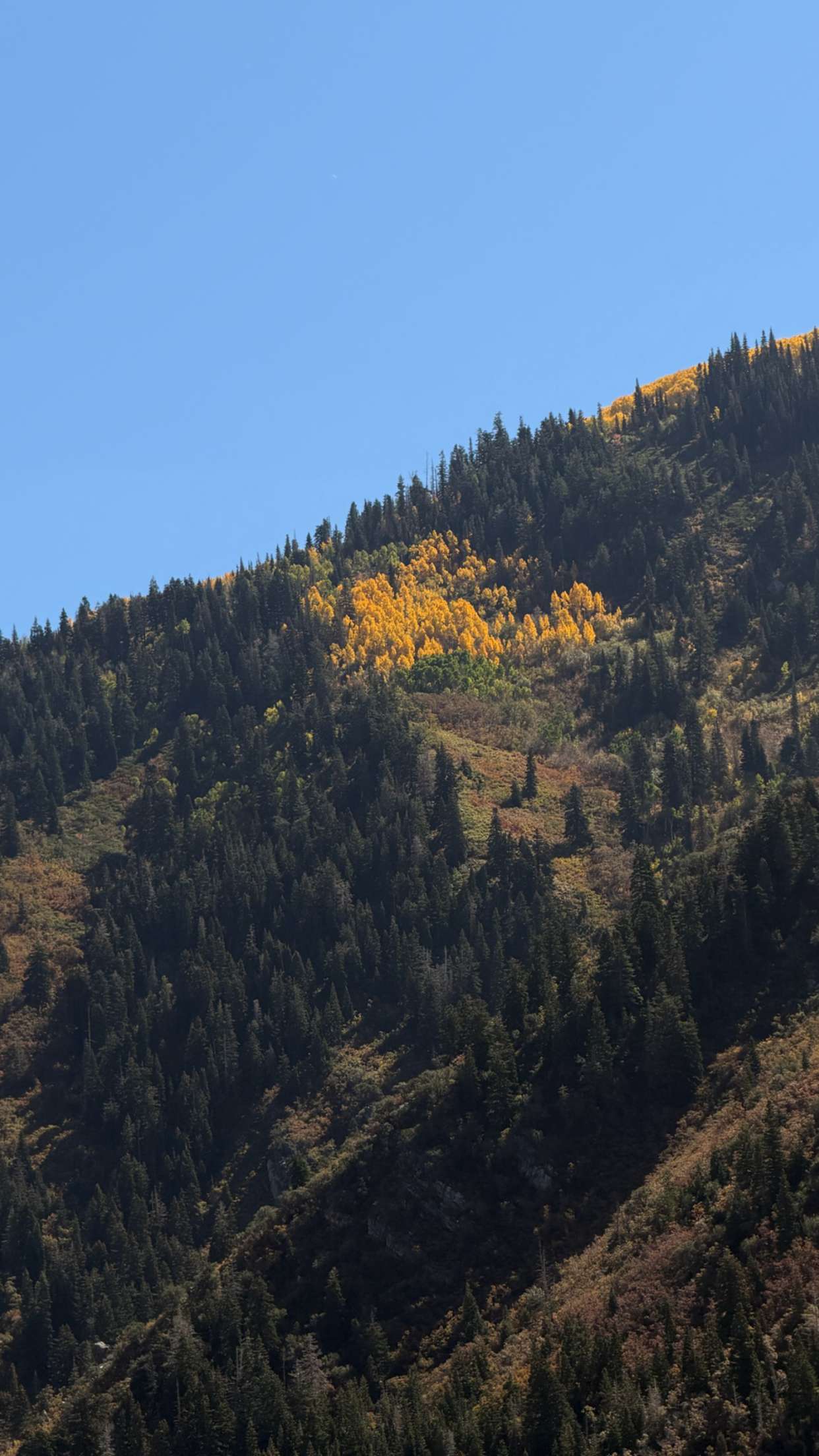 realhaylujan snapchat image archive image