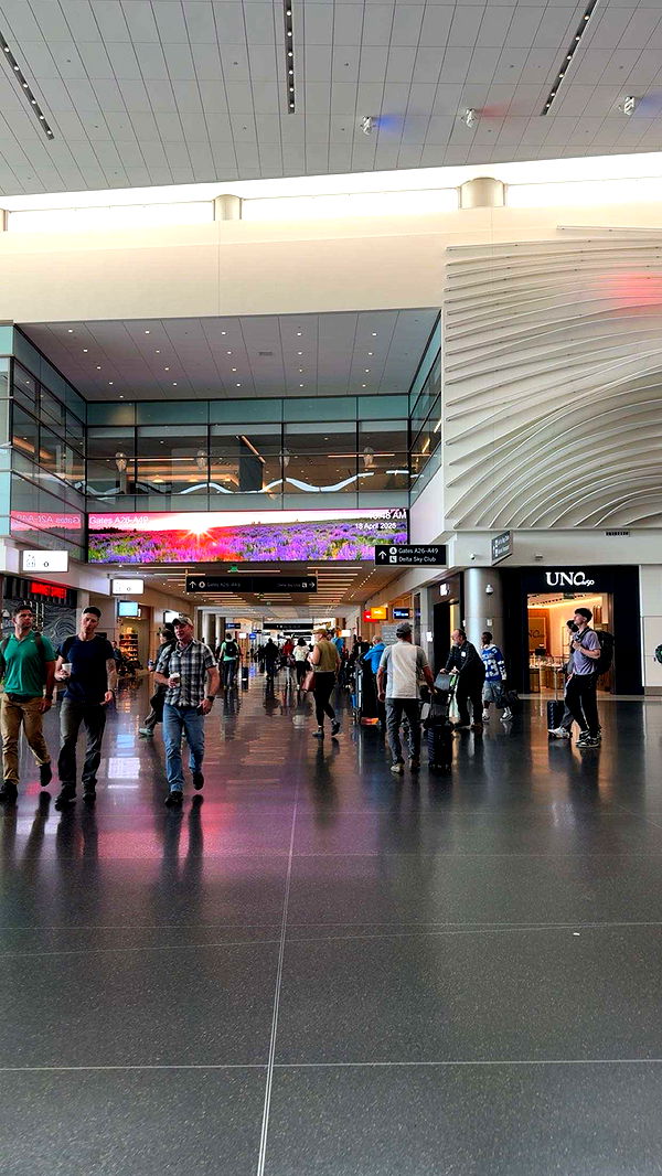 realhaylujan image ~ Altpins