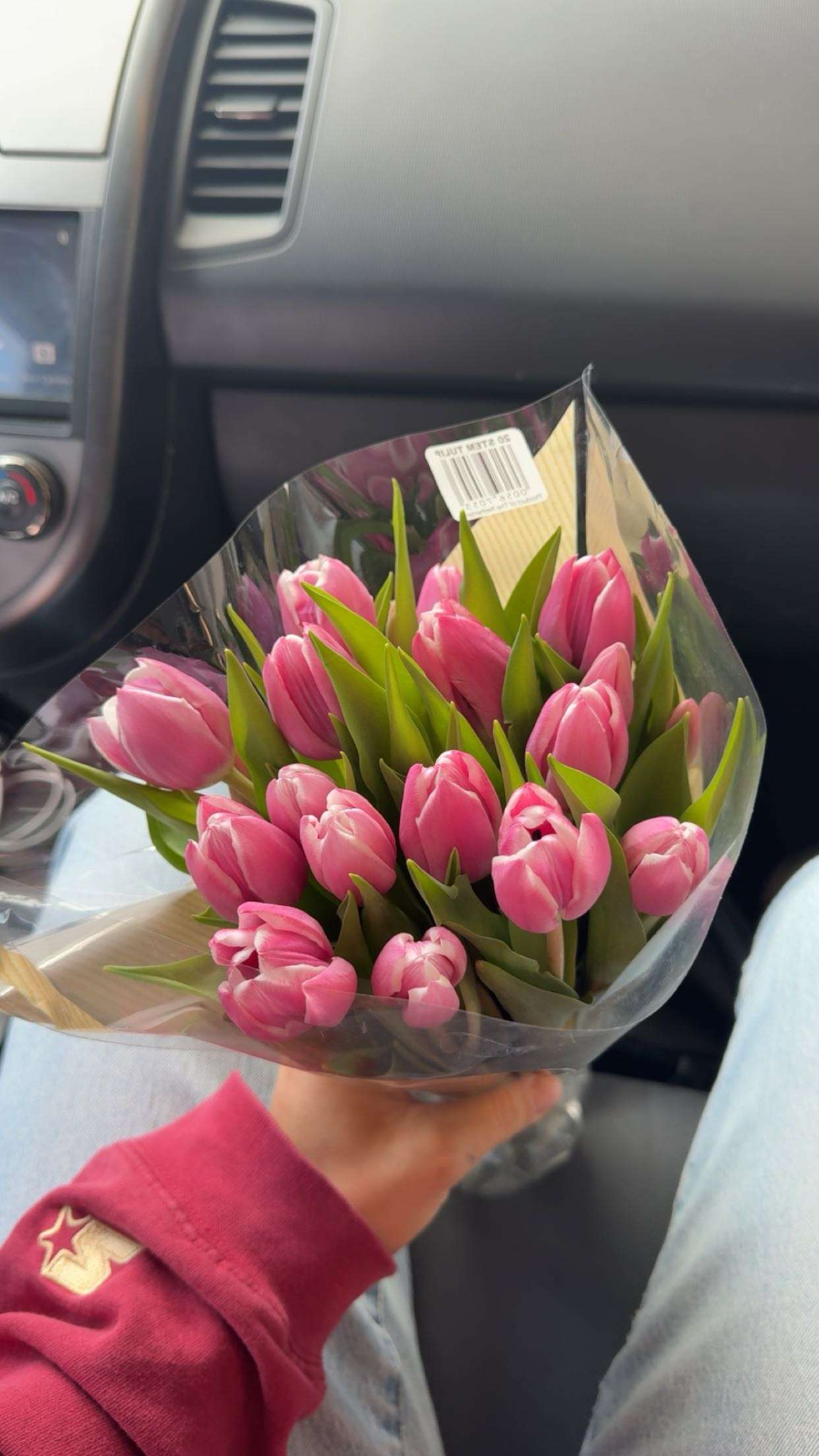 realhaylujan snapchat image archive image