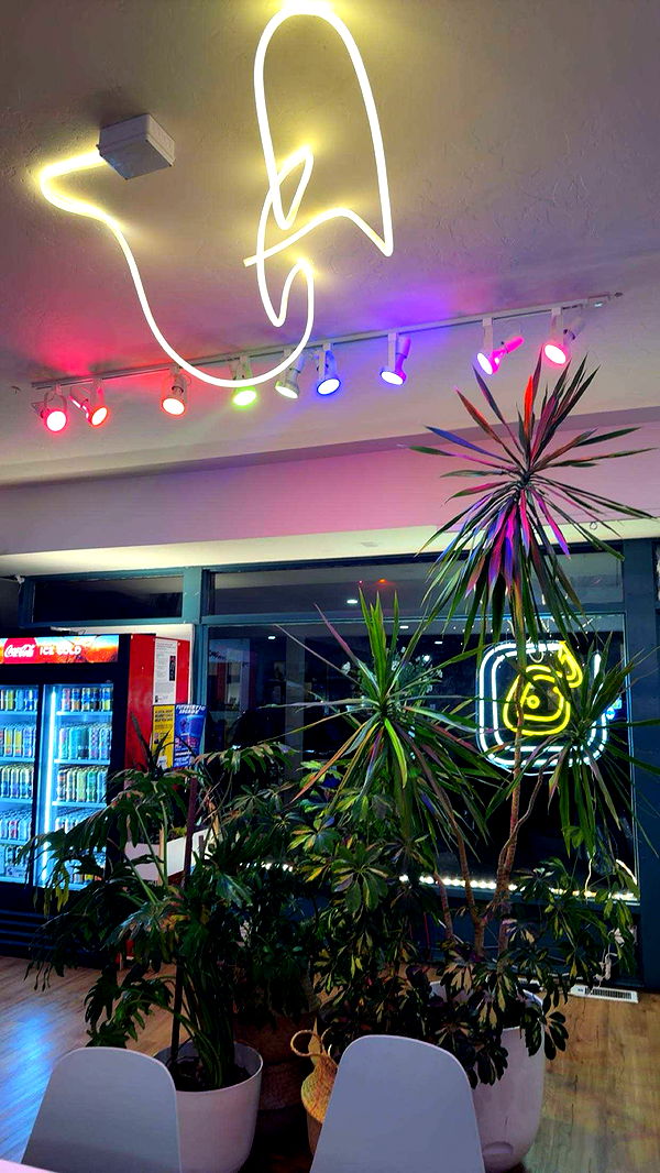 realhaylujan image ~ Altpins