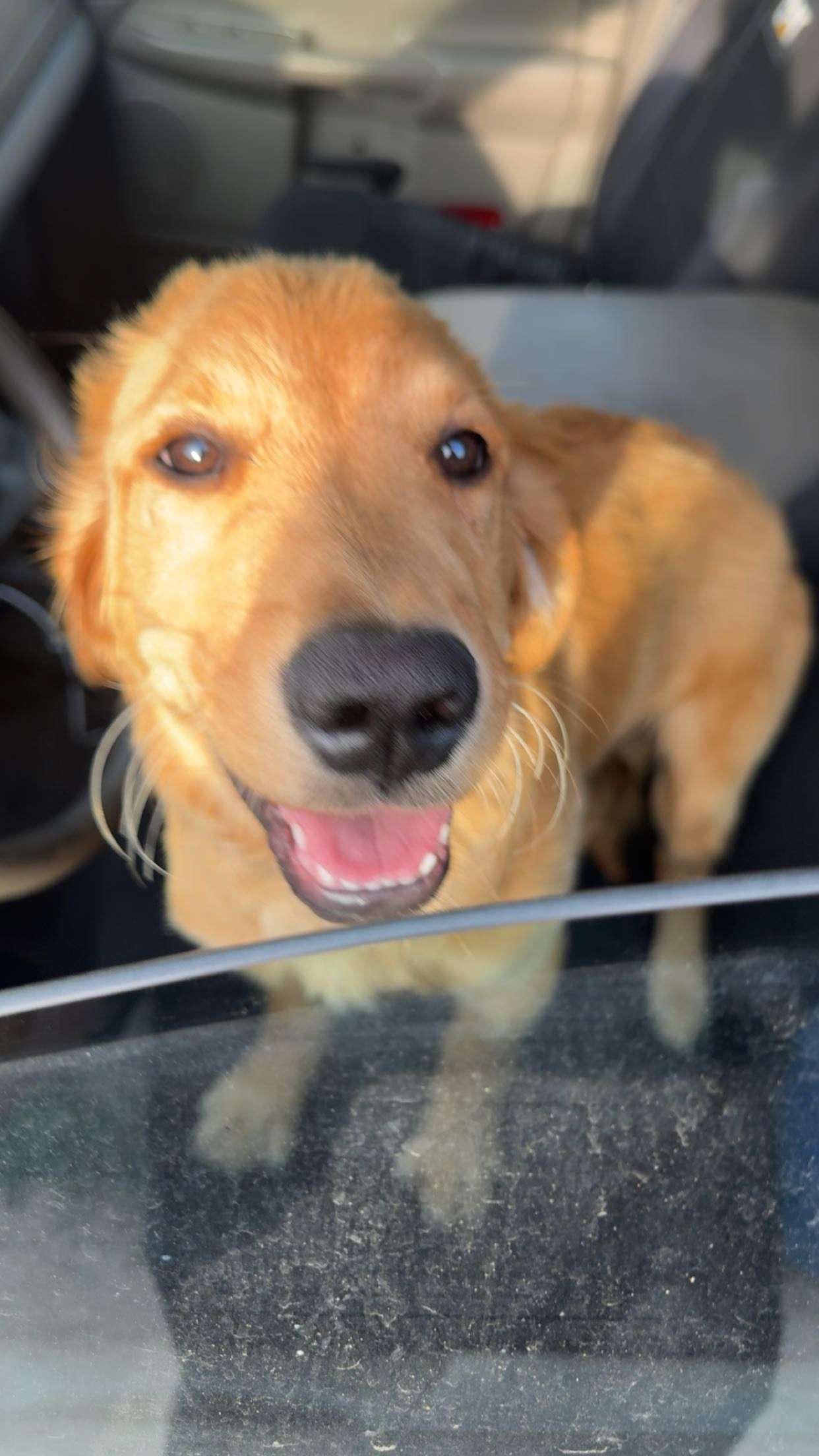 realhaylujan snapchat image archive image