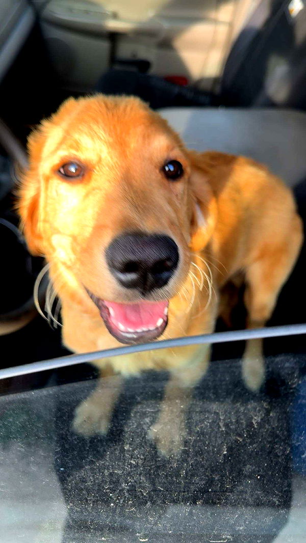 realhaylujan image ~ Altpins