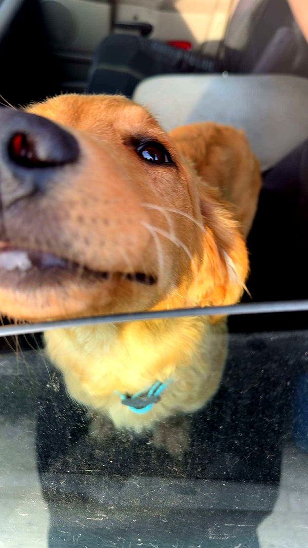 realhaylujan image ~ Altpins