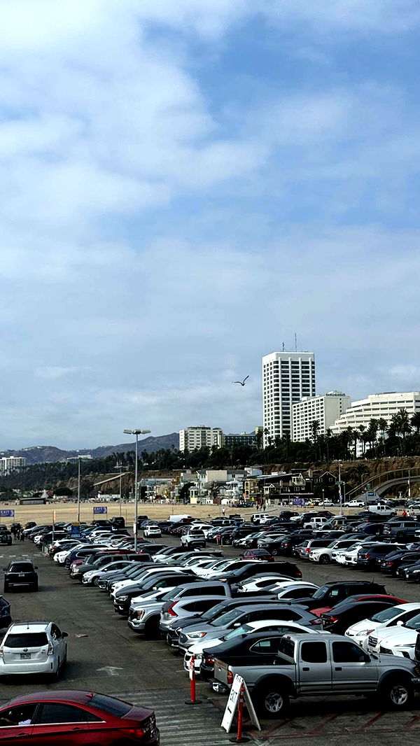 realhaylujan image ~ Altpins